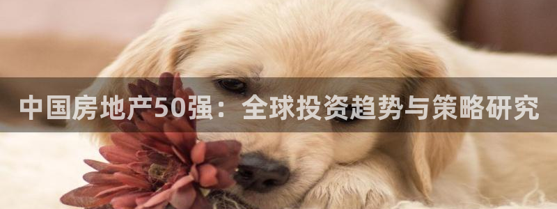 和记官网备用客户端