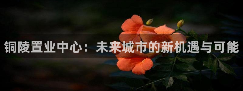 和记黄埔集团官网：铜陵置业中心：未来城市的新机遇与可能