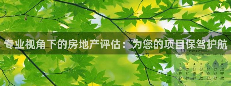 和记茶餐厅官网：专业视角下的房地产评估：为您的项目保驾护航