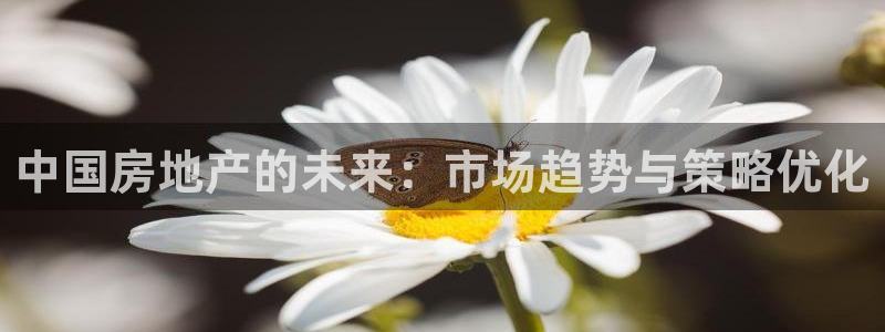 和记娱乐在线官网：中国房地产的未来：市场趋势与策略优化