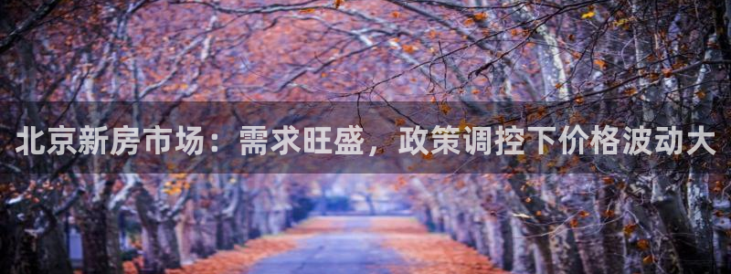 和木记官网：北京新房市场：需求旺盛，政策调控下价格波动大