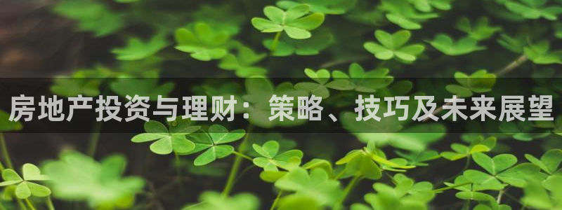 和记网开户官网：房地产投资与理财：策略、技巧及未来展望