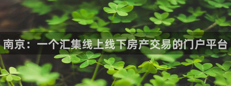 香港和记3台官网：南京：一个汇集线上线下房产交易的门户平台