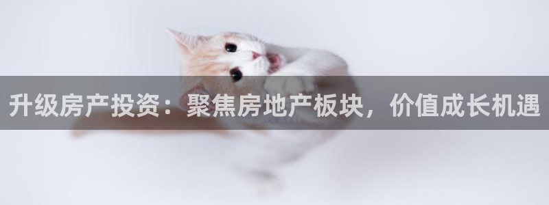 和记娱乐网官网：升级房产投资：聚焦房地产板块，价值成长机遇