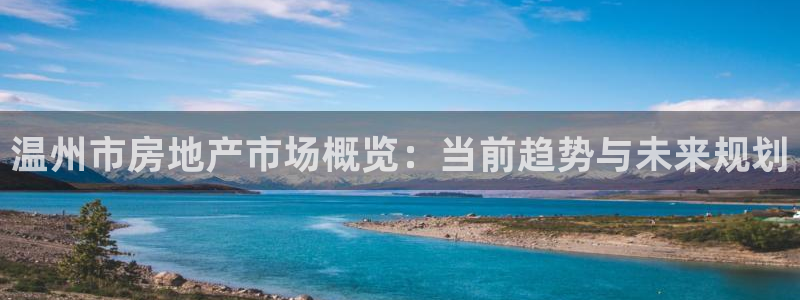 和记日化官网：温州市房地产市场概览：当前趋势与未来规划