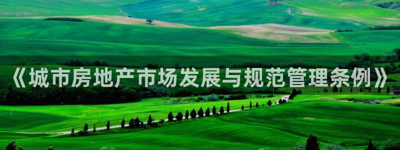 和记app官网：《城市房地产市场发展与规范管理条例》
