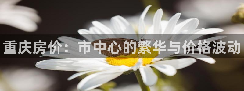 和记娱乐旗舰官网：重庆房价：市中心的繁华与价格波动