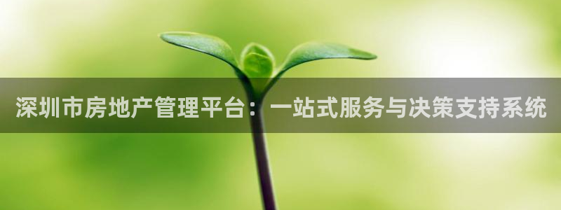 和记娱乐平台官网：深圳市房地产管理平台：一站式服务与决策支持