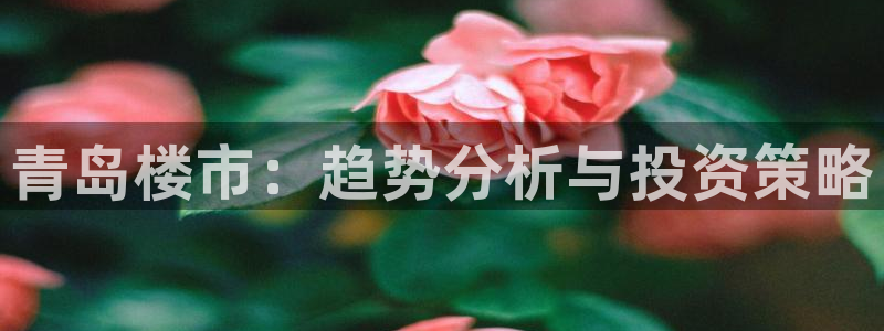 和记国际电讯官网