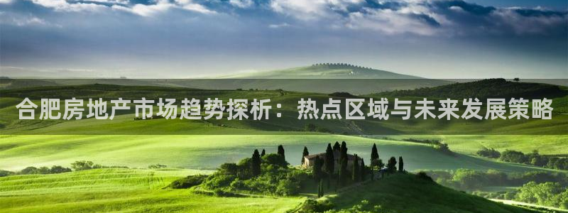 和记官网手机版：合肥房地产市场趋势探析：热点区域与未来发展策