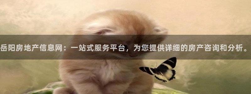 和记洋行官网：岳阳房地产信息网：一站式服务平台，为您提供详细