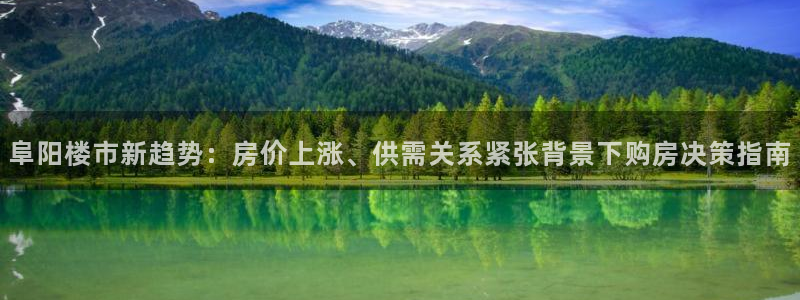 和生记官网：阜阳楼市新趋势：房价上涨、供需关系紧张背景下购房