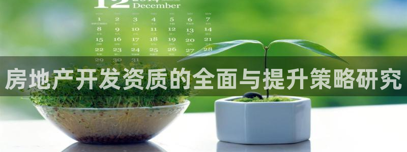 和记官网登录入口：房地产开发资质的全面与提升策略研究