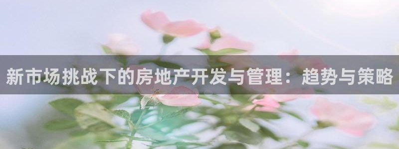 和记怡情h88官网：新市场挑战下的房地产开发与管理：趋势与策
