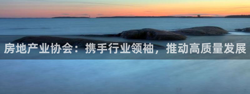 和木记官网：房地产业协会：携手行业领袖，推动高质量发展