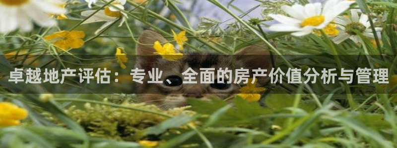 成都和记黄埔地产官网：卓越地产评估：专业、全面的房产价值分析