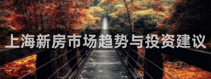 上海和记官网
