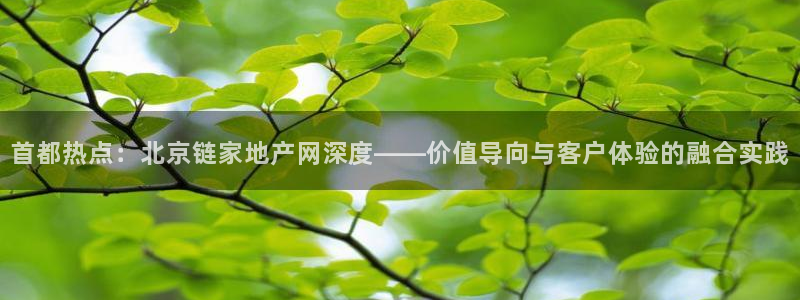 菲律宾和记官网：首都热点：北京链家地产网深度——价值导向与客
