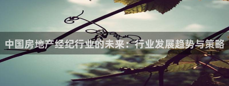 胡和记面官网：中国房地产经纪行业的未来：行业发展趋势与策略