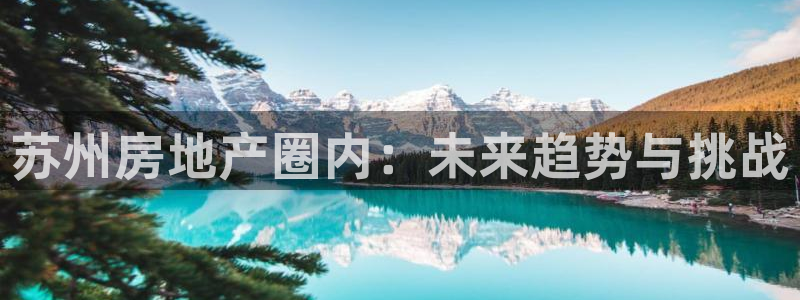 和记官网入口：苏州房地产圈内：未来趋势与挑战