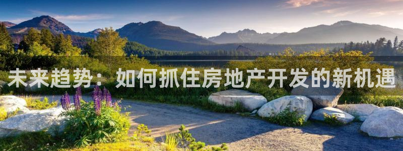 和记官网客户端：未来趋势：如何抓住房地产开发的新机遇