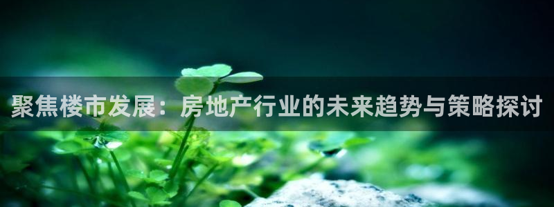 白云 和记黄埔官网：聚焦楼市发展：房地产行业的未来趋势与策略