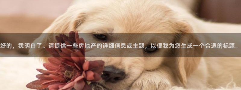 白云 和记黄埔官网