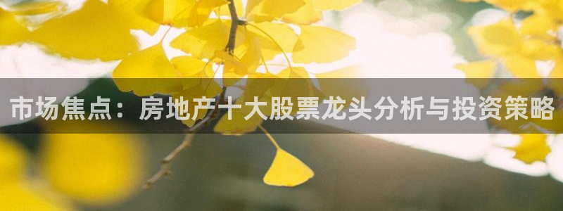 和记h88game官网：市场焦点：房地产十大股票龙头分析与投