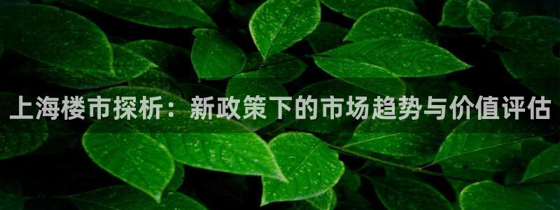 和黄记官网：上海楼市探析：新政策下的市场趋势与价值评估