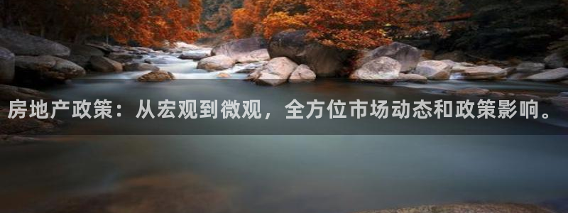 和记混凝土官网：房地产政策：从宏观到微观，全方位市场动态和政