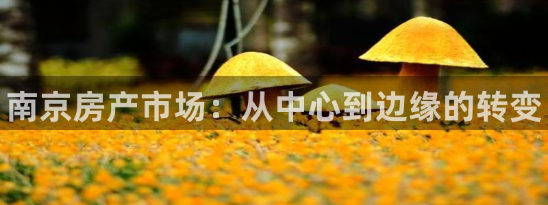 和记国际官网首页：南京房产市场：从中心到边缘的转变
