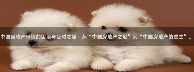 和记娱可信赖h88285官网：中国房地产市场的困境与应对之道