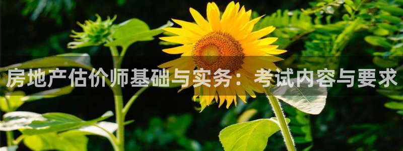 和记黄埔公司官网：房地产估价师基础与实务：考试内容与要求