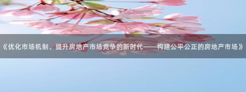 和记h188怡情官网：《优化市场机制、提升房地产市场竞争的新
