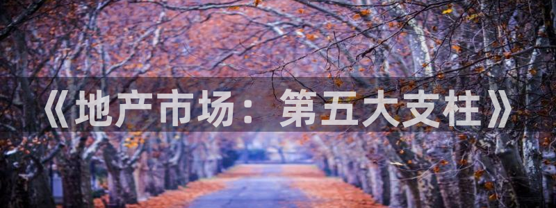 和记中国官网：《地产市场：第五大支柱》