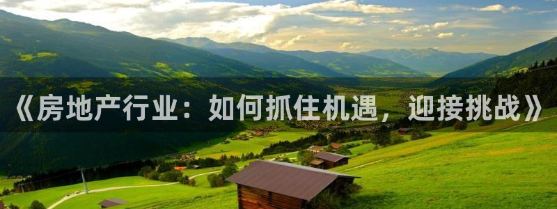 和记黄埔中药公司官网：《房地产行业：如何抓住机遇，迎接挑战》
