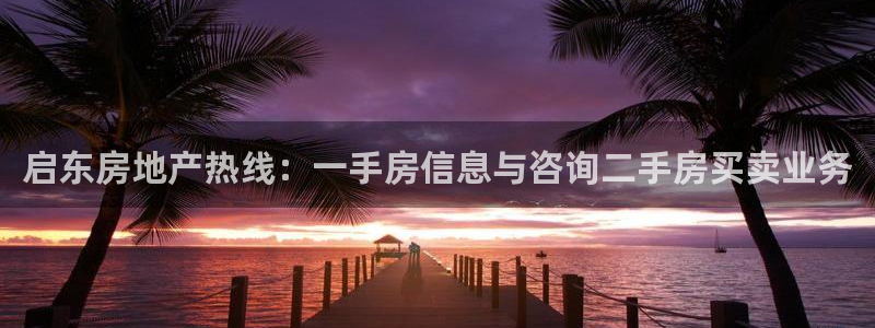 香港和记黄埔官网：启东房地产热线：一手房信息与咨询二手房买卖