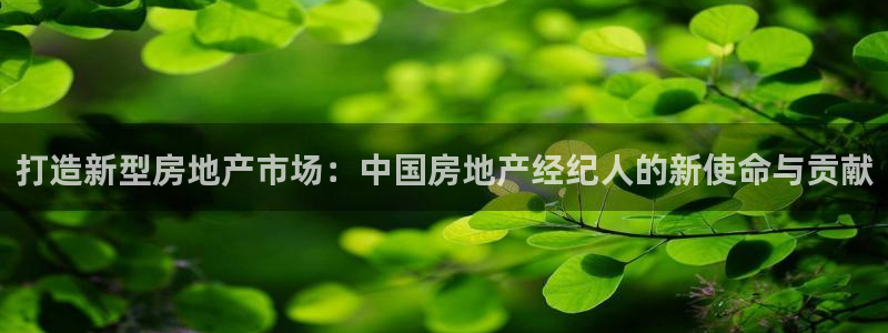和记火爆官网：打造新型房地产市场：中国房地产经纪人的新使命与