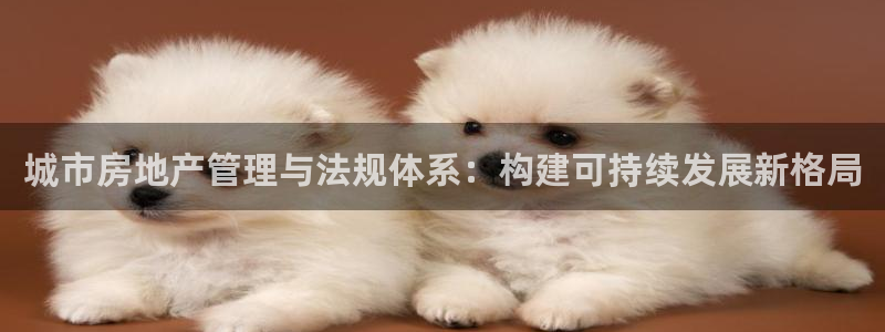 长江和记有限公司官网：城市房地产管理与法规体系：构建可持续发