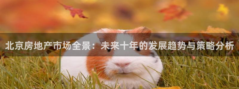 和记娱乐捕鱼官网：北京房地产市场全景：未来十年的发展趋势与策