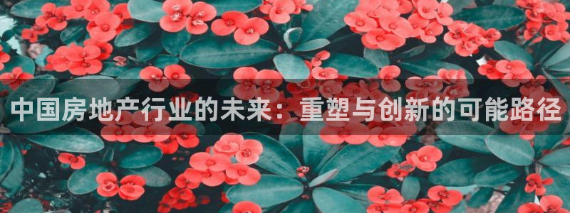 和记hgc官网：中国房地产行业的未来：重塑与创新的可能路径
