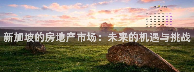 和记官网app：新加坡的房地产市场：未来的机遇与挑战