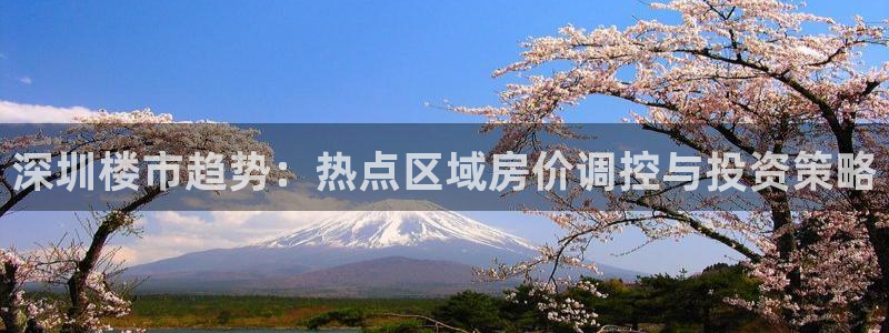 和记官网登录：深圳楼市趋势：热点区域房价调控与投资策略
