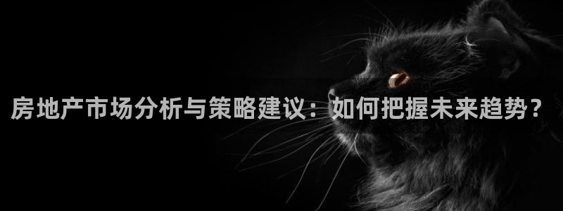 和记怡情官网：房地产市场分析与策略建议：如何把握未来趋势？