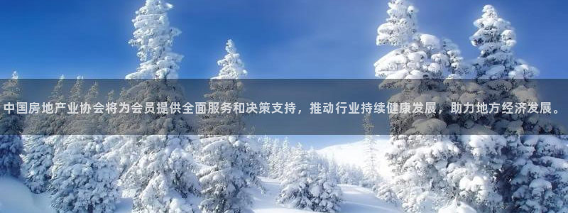 和记网开户官网：中国房地产业协会将为会员提供全面服务和决策支