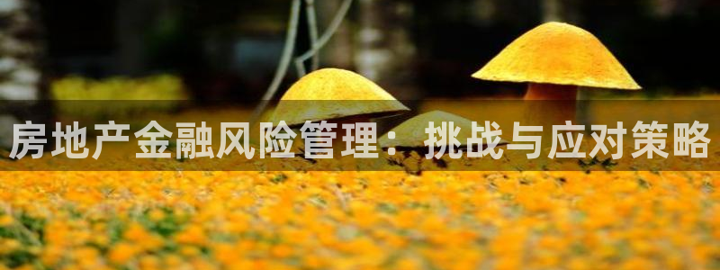 和记洋行官网：房地产金融风险管理：挑战与应对策略