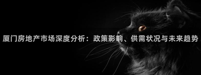 和记怡情视频在线官网：厦门房地产市场深度分析：政策影响、供需