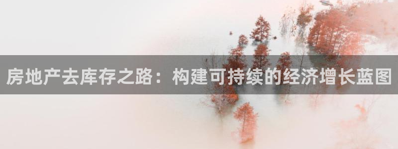 和记黄埔官网攻略：房地产去库存之路：构建可持续的经济增长蓝图