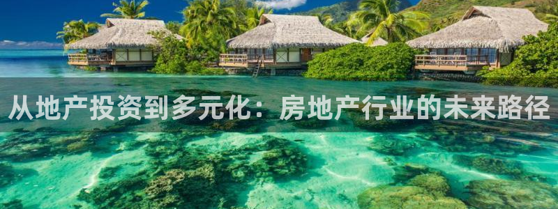 和记黄埔上海官网：从地产投资到多元化：房地产行业的未来路径