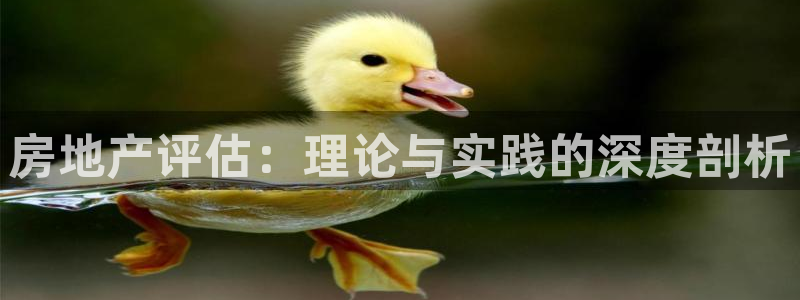 和记官网是一个什么平台：房地产评估：理论与实践的深度剖析